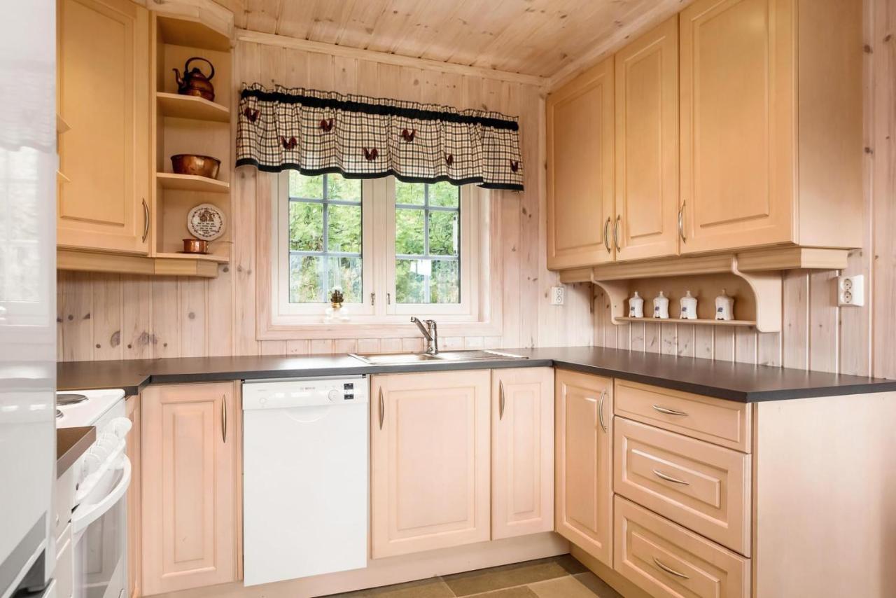 Reveenka - Cabin In Trysil With Jacuzzi For Rent Exterior photo