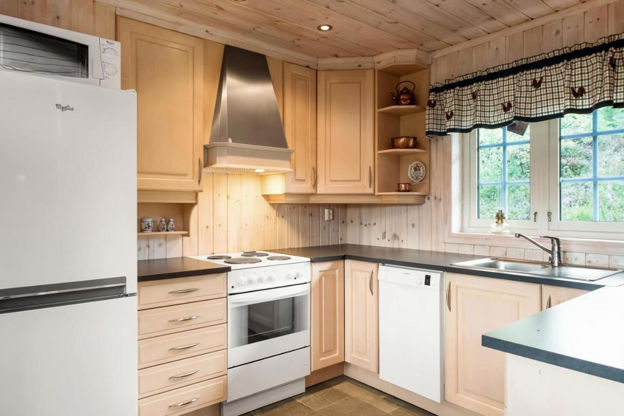 Reveenka - Cabin In Trysil With Jacuzzi For Rent Exterior photo